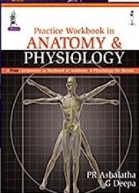 Image of Anatomy & Physiology ; Practice Workbook