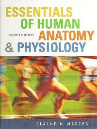 Image of Essentials of Human Anatomy & Physiology