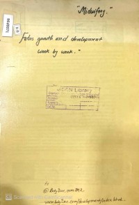 Image of Fetus Growth and Development Week by Week