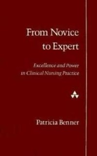 Image of From novice to expert : excellence and power in clinical nursing practice