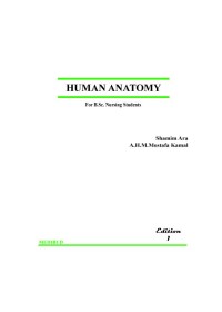 Image of Human Anatomy