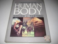 Image of Introduction to the human body