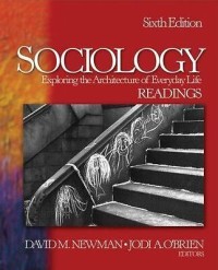 Image of Sociology Exploring the architecture of everyday life reading